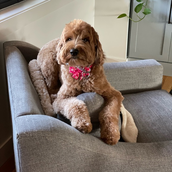 Meet your Posher, Mary - Picture 3 of 3